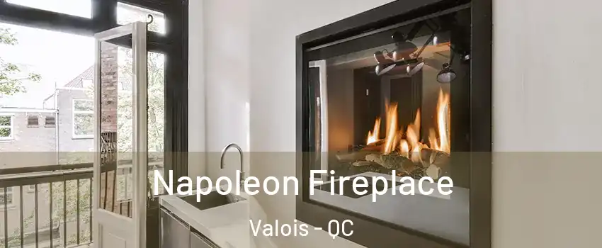  Napoleon Fireplace Valois - QC