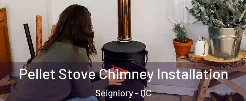  Pellet Stove Chimney Installation Seigniory - QC