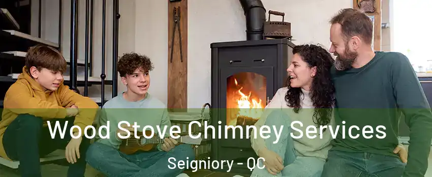 Wood Stove Chimney Services Seigniory - QC