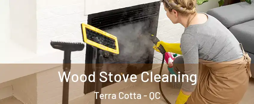  Wood Stove Cleaning Terra Cotta - QC